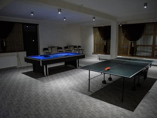 Biliard și tenis de masă